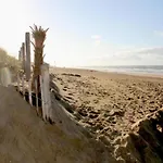 Apartment In Noordwijk Near Beach *