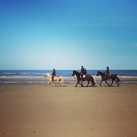 Apartment At The Promenade And Beach Noordwijk