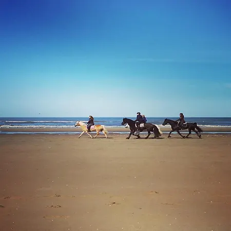 Apartment In Noordwijk Near Beach *