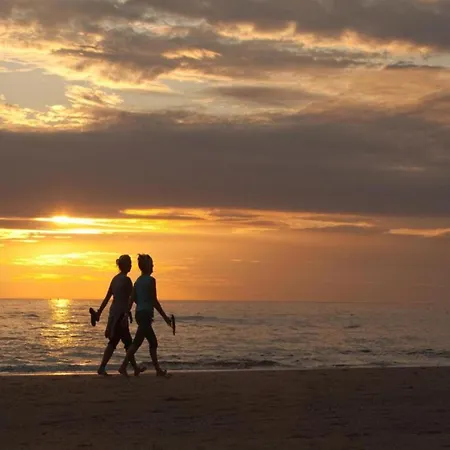 Apartment Apartment In Noordwijk Near Beach