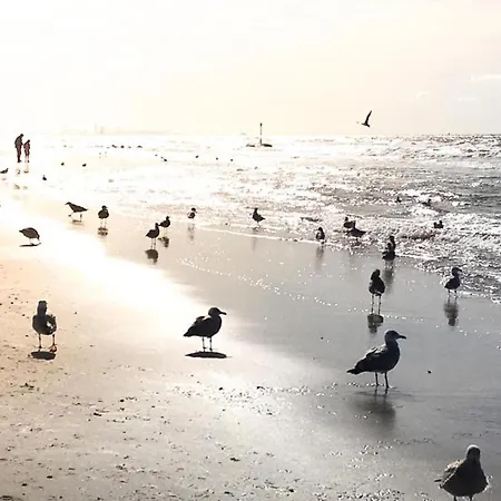 In Near Noordwijk