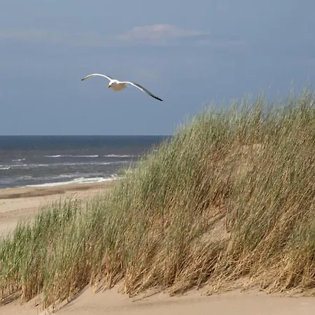 アパート In Near *