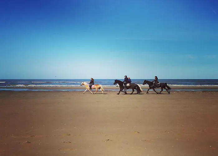 Apartment In Noordwijk Near Beach *