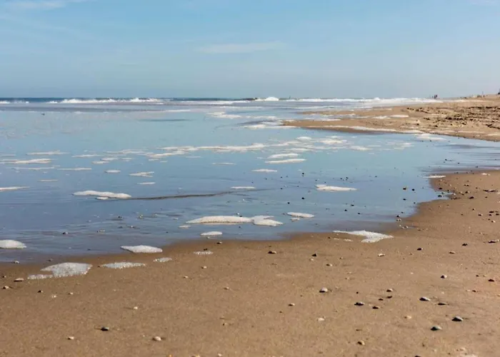 In Near Lejlighed Noordwijk