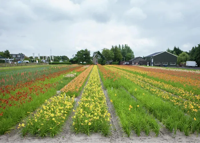 Apartment In Noordwijk Near Beach Noordwijk