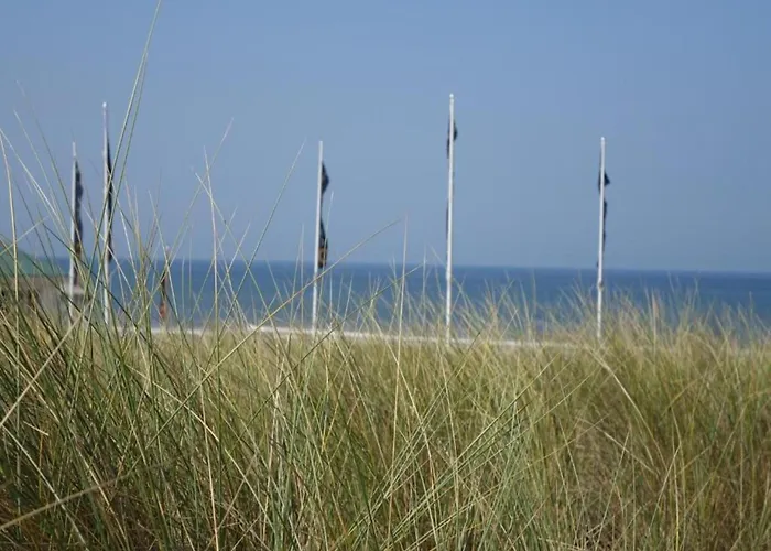 Apartment In Noordwijk Near Beach