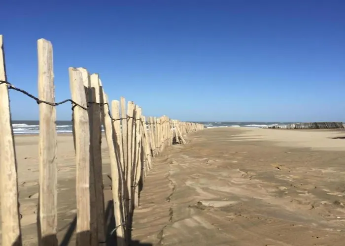 Apartment In Noordwijk Near Beach *