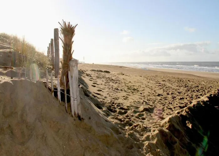 Apartment In Noordwijk Near Beach *