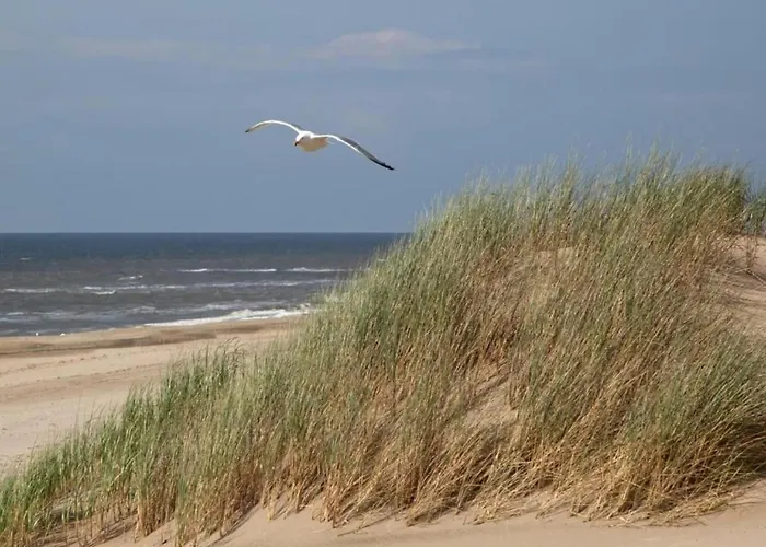 Apartment Apartment In Noordwijk Near Beach *