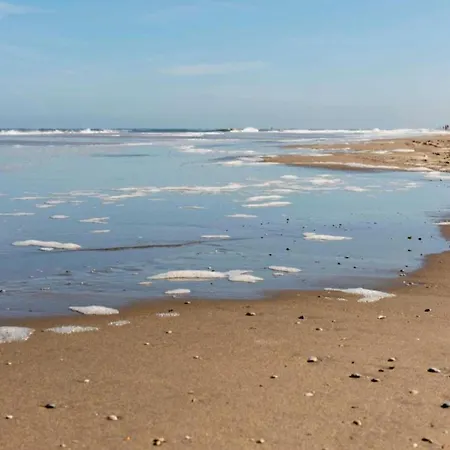 In Near Apartament Noordwijk