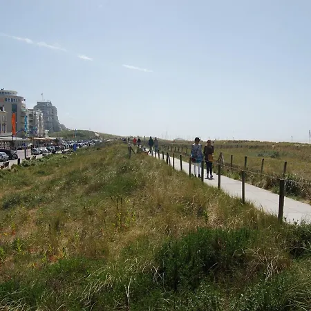 In Near Apartament *